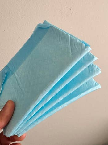 A reviewer holding 4 folded disposable pads