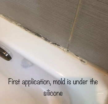 mold and mildew on a reviewer's bath tub