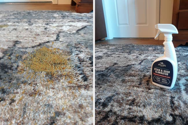 a poop smear on a carpet and then a clean looking carpet with the bottle of spray on it