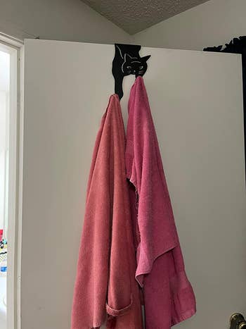 the cat hanger holding two towels