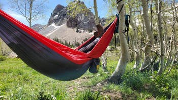 the hammock tied to a tree with reviewer lying in it