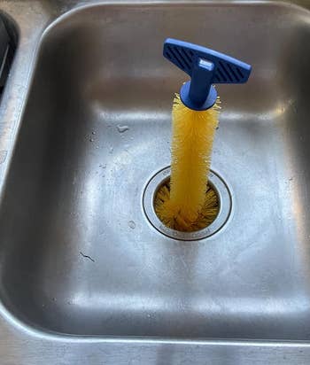 the brush in a sink garbage disposal