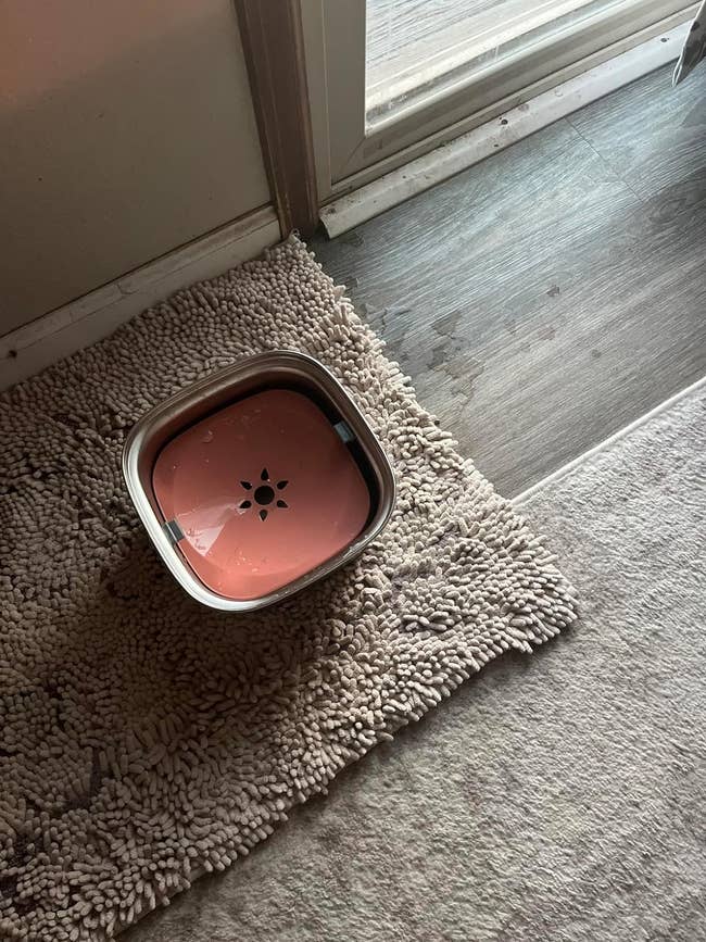 Reviewer's water bowl on a shaggy mat near a door