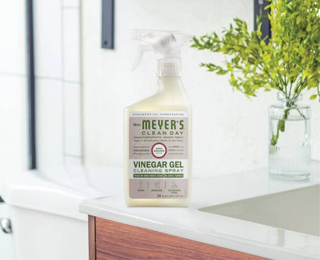 Meyer’s Vinegar Gel Cleaning Spray connected a room antagonistic adjacent a plant, with modern shelving successful the background
