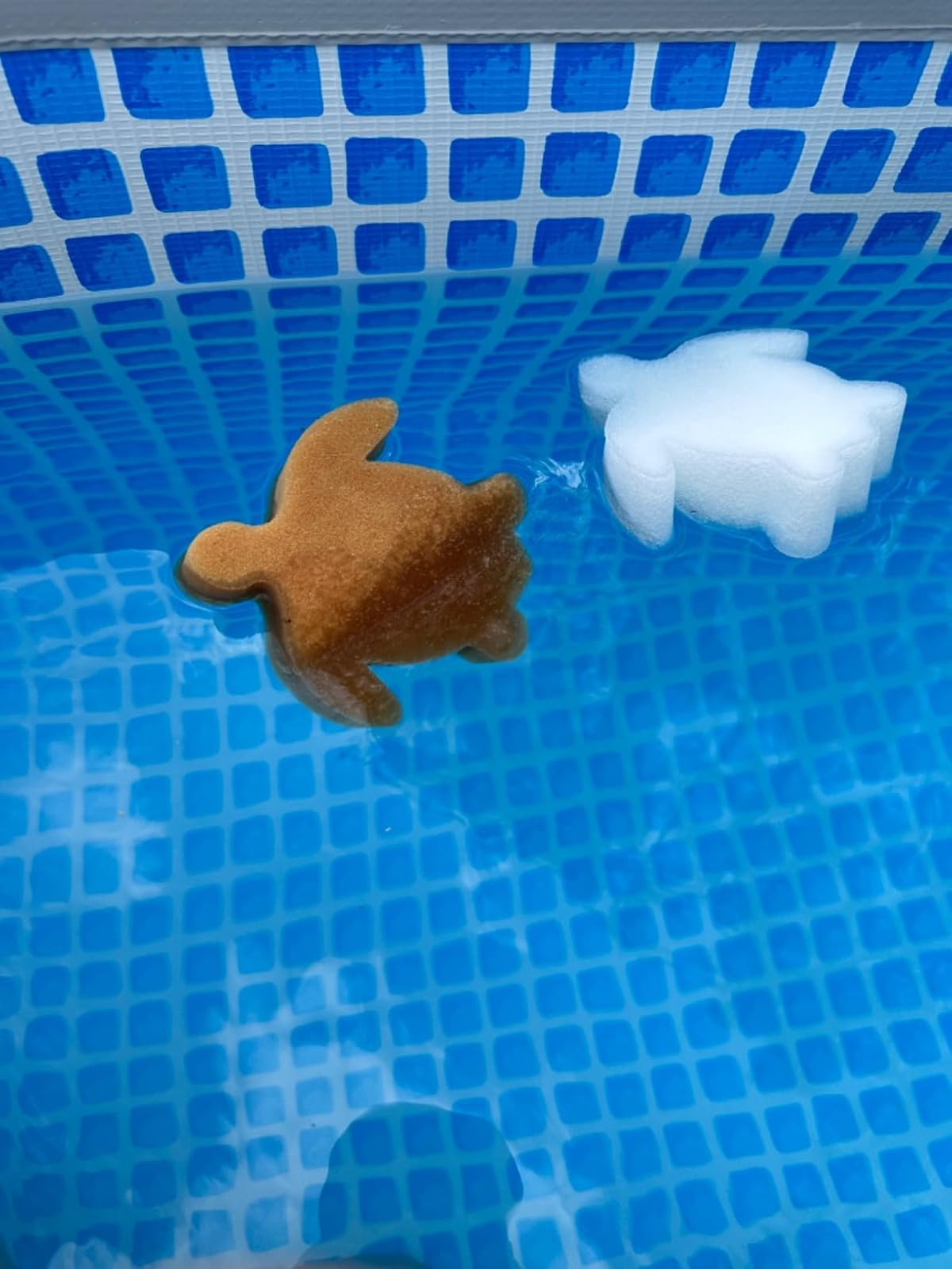 Two floating excavation  chlorine dispensers shaped similar  a turtle, 1  used, 1  new