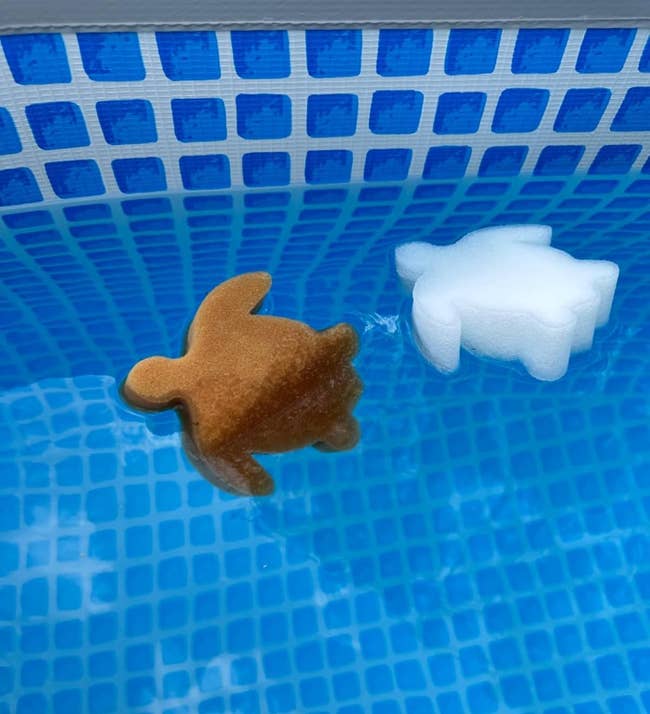 Two floating excavation chlorine dispensers shaped similar a turtle, 1 used, 1 new