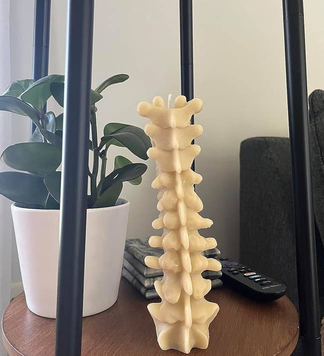the spine candle sitting on a shelf