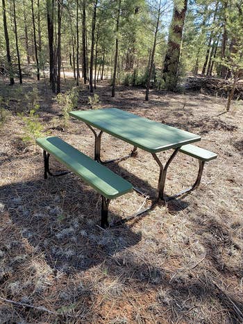 reviewer photo of green outdoor picnic table