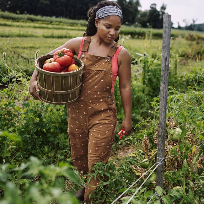 Woman in overalls holds basket of tomatoes in a garden, promoting sustainable fashion