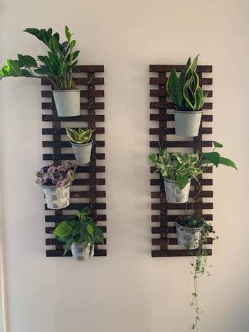reviewer photo of two wooden planter mounts, one with four plants and another with three plants hanging on it