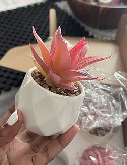 reviewer holding a pink faux succulent