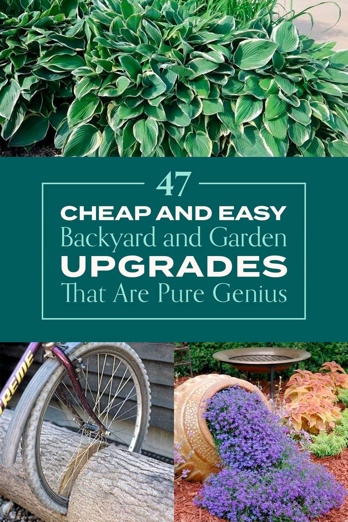 47 Cheap And Easy Backyard And Garden Upgrades That Are Pure