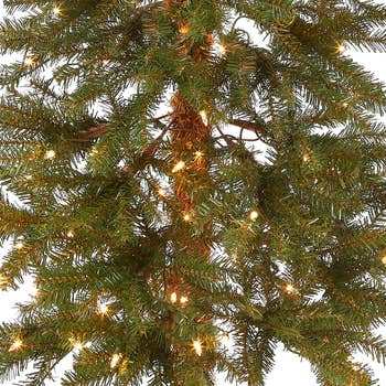 Artificial Christmas tree branch with warm glowing lights for holiday decoration. Perfect for festive shopping selections