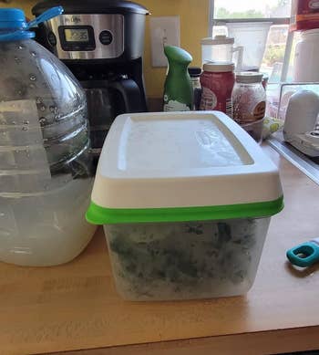 Kitchen antagonistic with a jug of water, stackable mugs, a java maker, and a integrative container