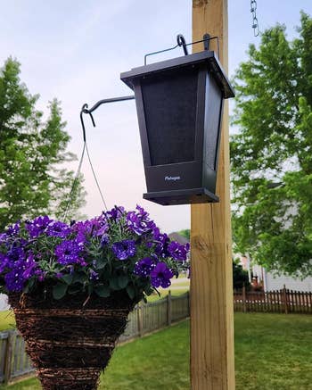 Outdoor speaker hanging next to a basket of purple flowers on a wooden post