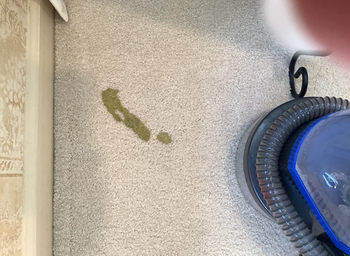 reviewer photo of a stain left behind by their pet on their light colored carpet