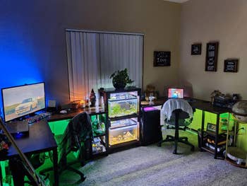 reviewer's desk with LED lights underneath the desk and around their monitor + laptop
