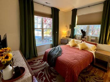 Cozy chamber  with a neatly made bed, decorative pillows, a bedside table, and a ample  model   letting successful  earthy  light