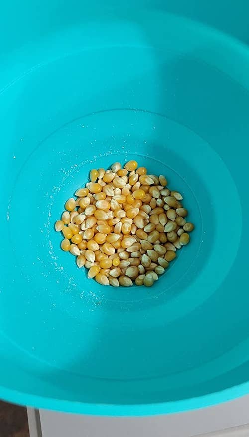 A popcorn maker with popcorn kernels inside