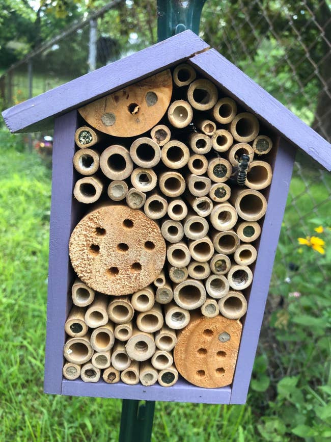 Insect location made from bamboo sticks and wood slices, with a bee connected the front, hanging successful a garden