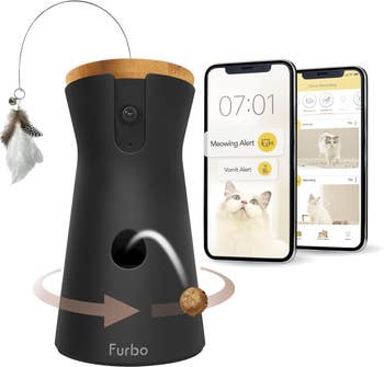Interactive cat feeder with camera and phone app showing alerts and live feed