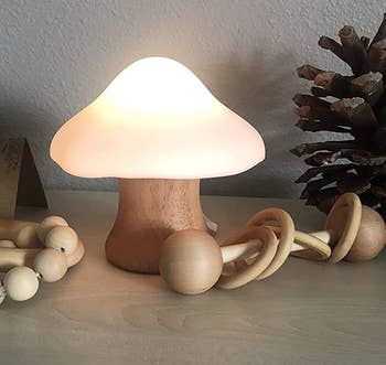 the little glowing mushroom lamp