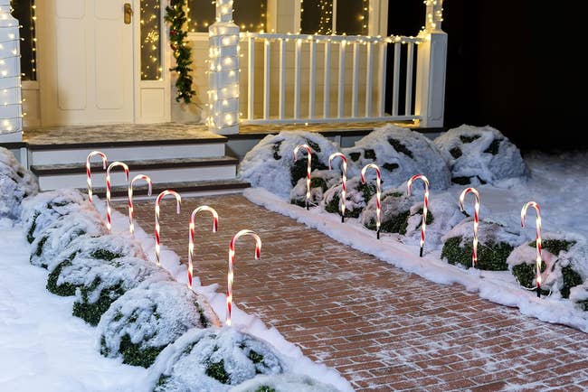 a pathway lined with light up candy canes