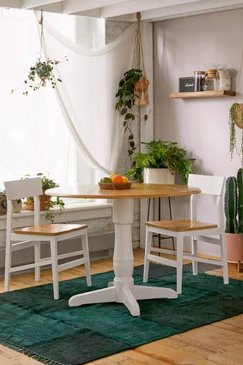 Dining room with a round wooden table, white pedestal base, two chairs, hanging plants, and a green rug. Cozy and modern shopping inspiration