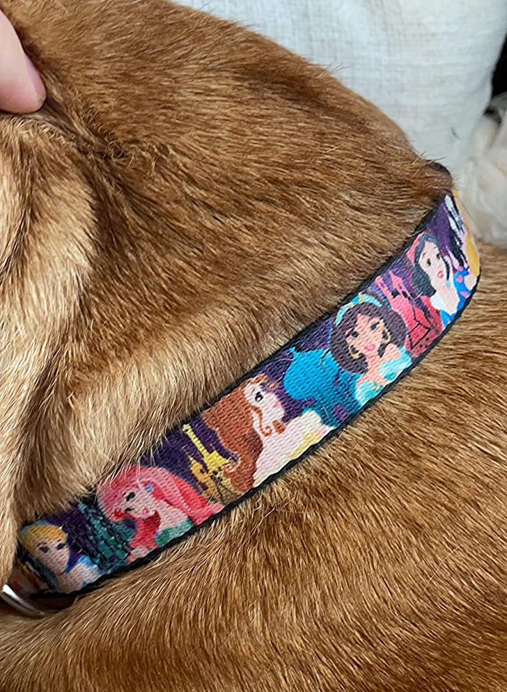 a dog collar with various disney princesses on it