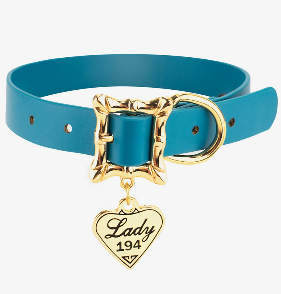 a blue collar with a gold buckle and a heart-shaped tag that says 