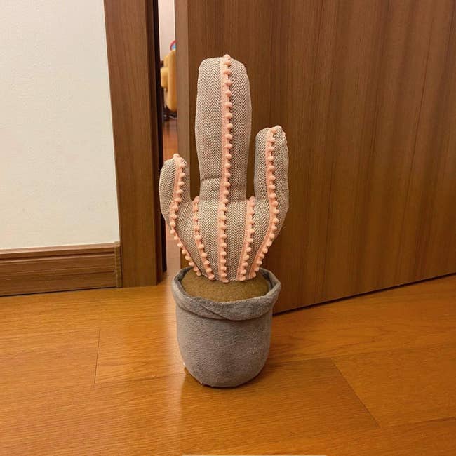 potted fabric cactus holding door 