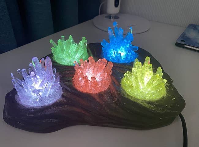 reviewer photo of the crystal growing kit