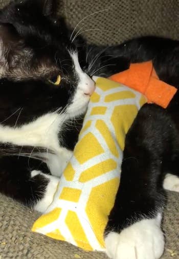 a black and white cat lounges with a yellow and white catnip kicker