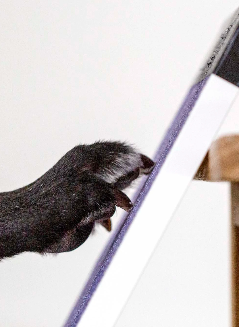 35 ProblemSolving Products That'll Make Life Easier