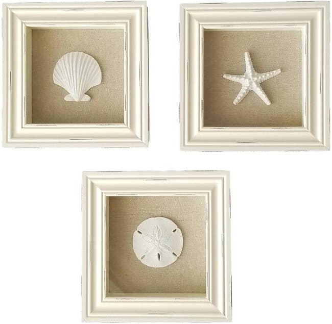 two sea shell and one star fish, all in white, inside white frames 
