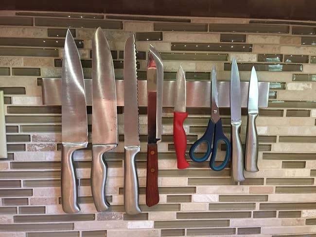 Kitchen knives and scissors connected a magnetic partition strip, showcasing a assortment of leaf types for antithetic cooking tasks