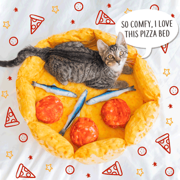 graphic of kitty inside pizza bed saying 