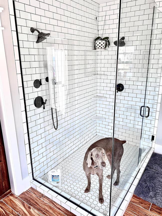a reviewer photo of a sparkling clean shower with glass doors 