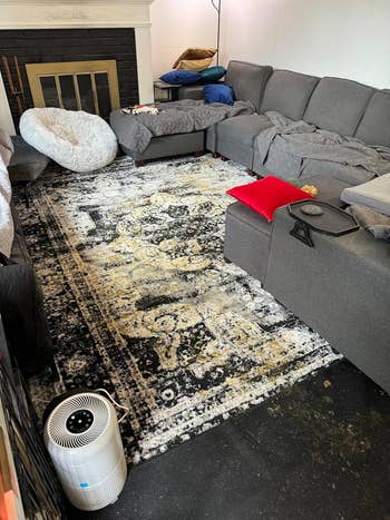 reviewer's black and white rug with poop stains on it