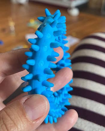 Reviewer holding the blue fidget toy
