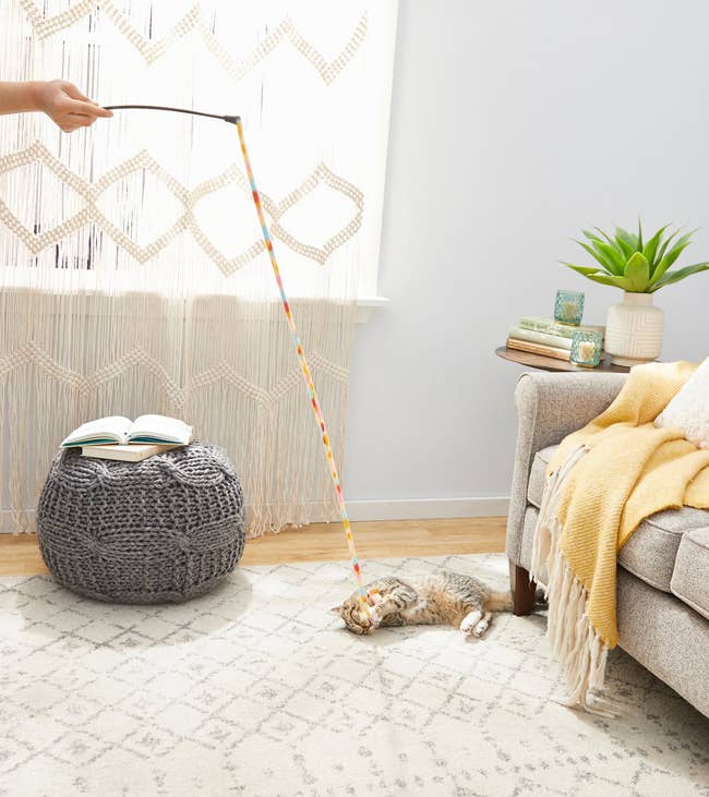 A cat playing with the string toy
