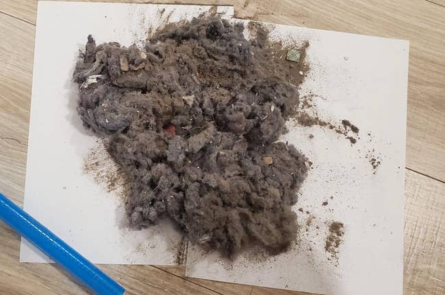 Clump of dust, hair, and debris on a white piece of paper, next to a blue pen on a wooden floor