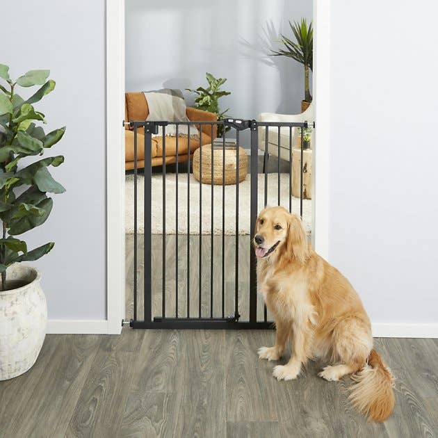 A dog sitting next to the pet gate in a doorway 