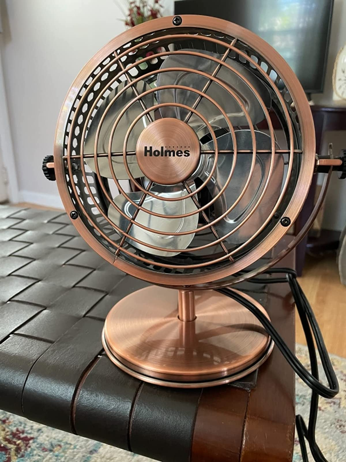 a reviewer photograph  of a somewhat  larger copper instrumentality   