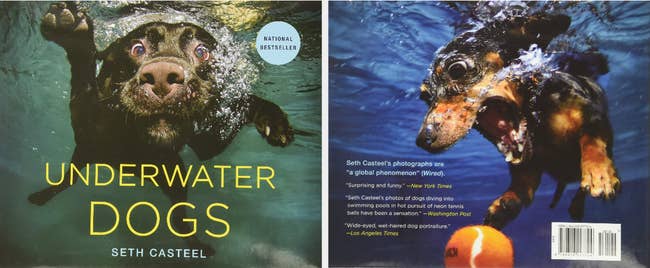 Images of the front and back of the book with images of dogs underwater