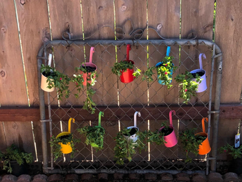 10 mini potted plants hanging from an old metal gate door 