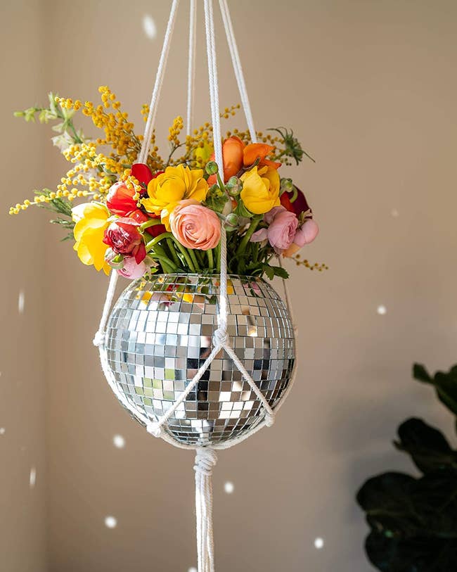 hanging disco shot  planter with flowers successful  it