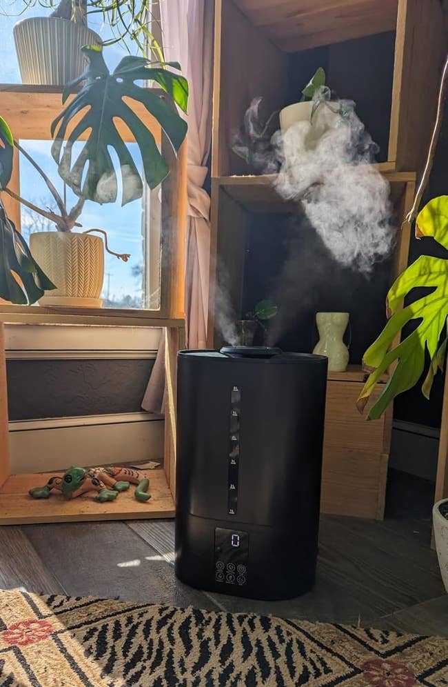 Humidifier in use in a cozy room with plants and shelves, enhancing indoor air quality for shopping readers