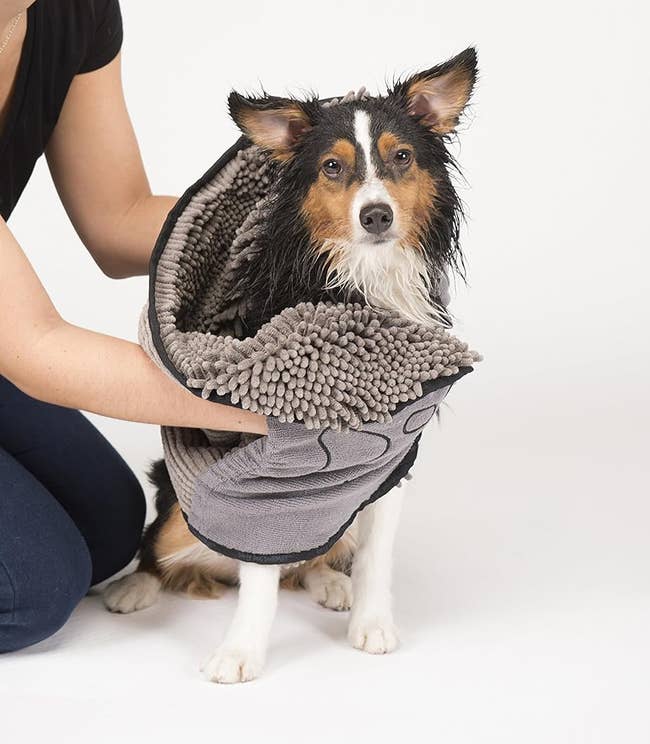 a model using the shammy. to towel off a wet dog 