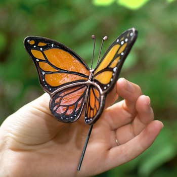 A manus  holds a decorative stained solid  butterfly 